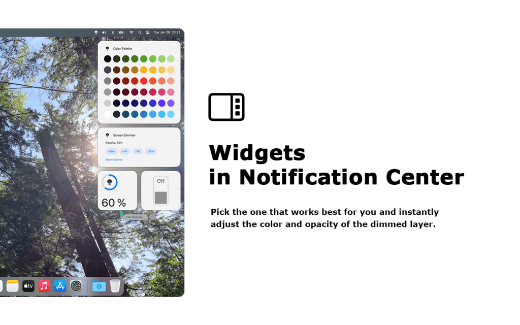 Notification Center Widgets